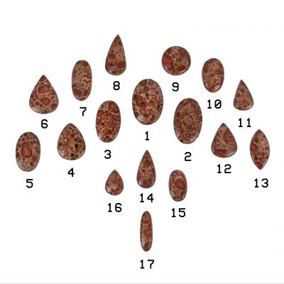 Geschliffener Halbedelstein – Leopardenfell Jaspis | 1, 2, 3, 4, 5, 6, 7, 8, 9, 10, 11, 12, 13, 14, 15, 16, 17